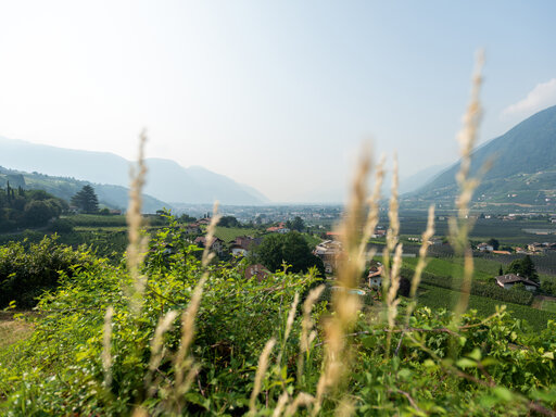 Apartments in Gratsch mit Blick auf die Berge