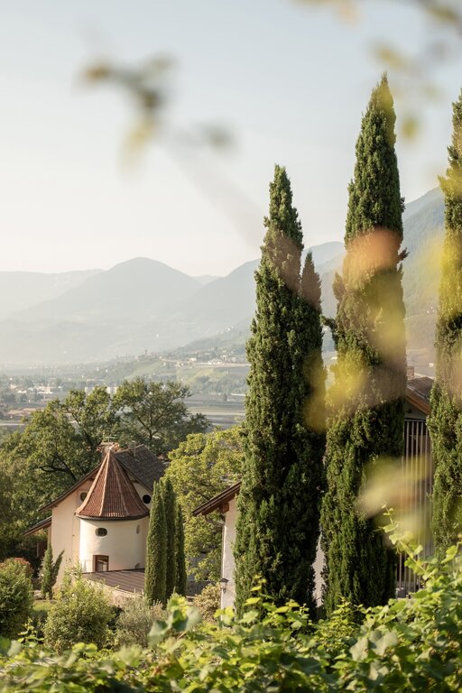 Malerische Aussicht auf Meran mit Zypressen
