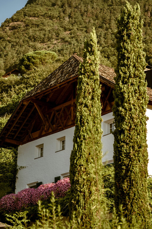 Historischer Bauernhof Huberhof mit grünen Zypressen im Vordergrund