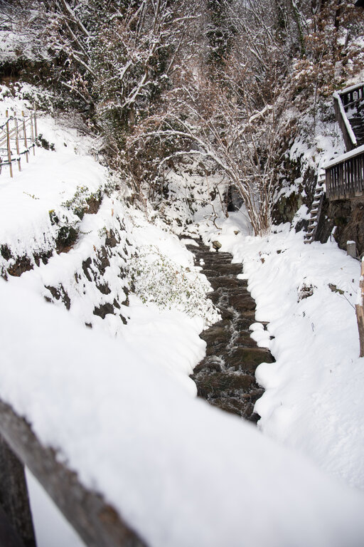 Schneebedeckte Landschaft am Huberhof in Gratsch