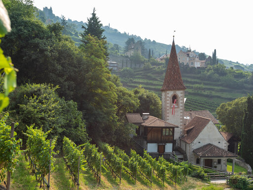 Urlaub inmitten von Weinbergen bei Meran