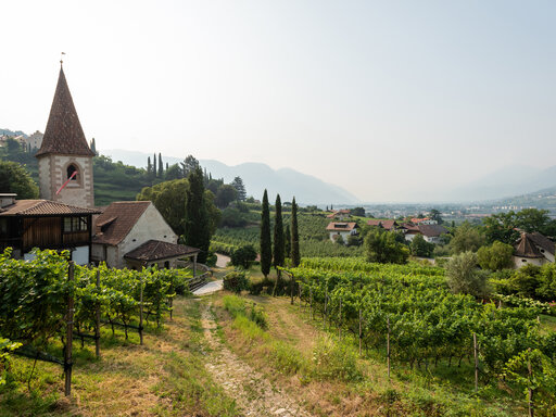 Aussicht aufs Meraner Land vom Huberhof