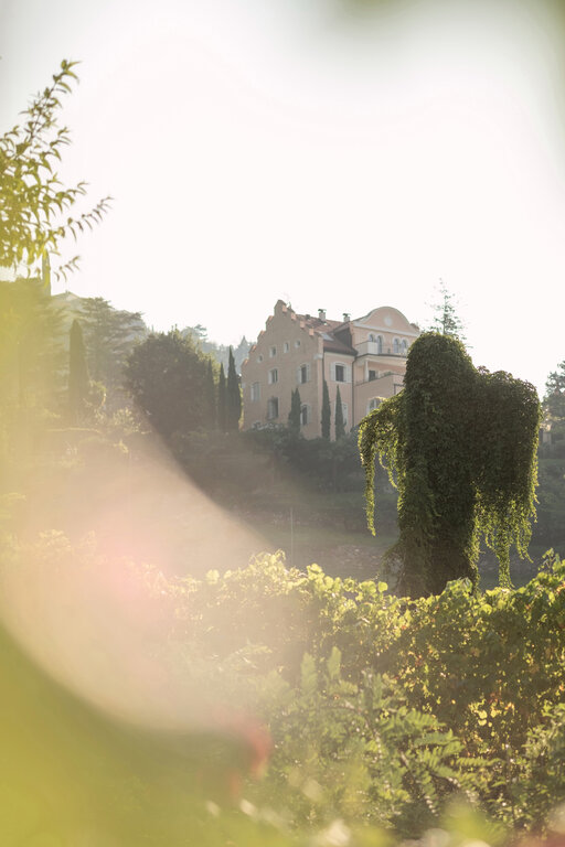 Historisches Gebäude inmitten der Weinberge von Meran