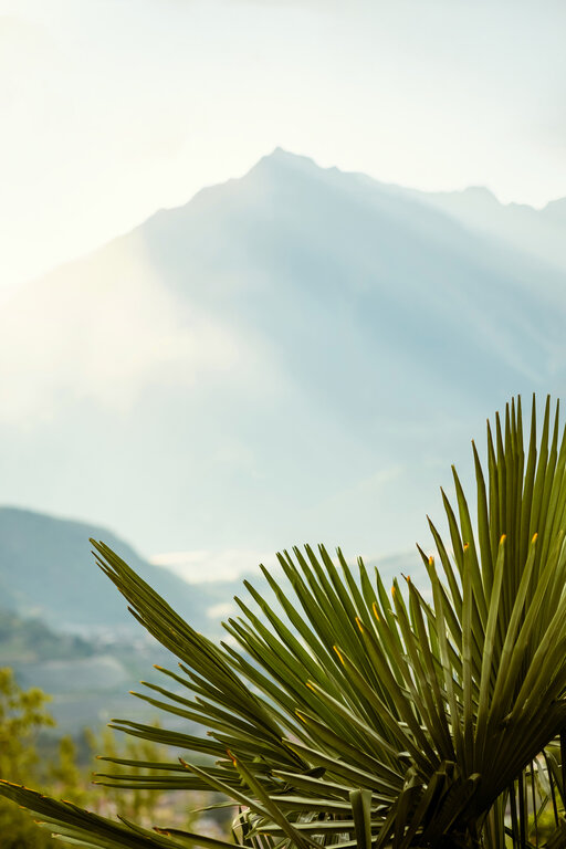 Mediterranes Flair und Bergpanorama zum Entspannen