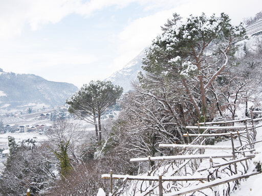 Huberhof: verschneite Landschaft in Gratsch bei Meran