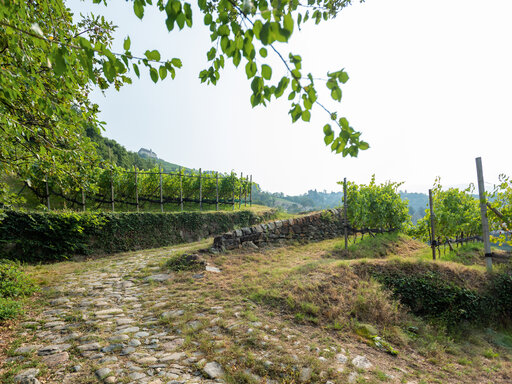 Natur pur im Huberhof bei Meran
