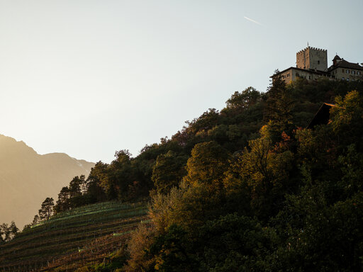 Schloss auf einem Hügel mit Blick auf grüne Weinberge und Wälder