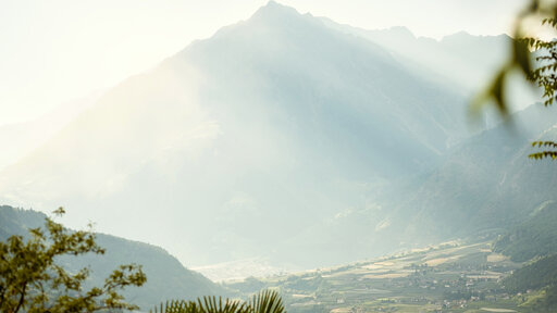 Sanfte Morgenstimmung mit Blick auf die Berge bei Meran