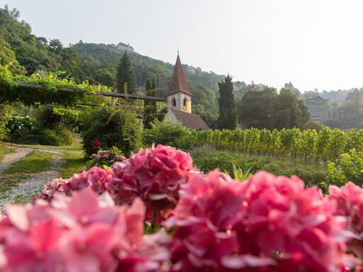Urlaub in Gratsch bei Meran