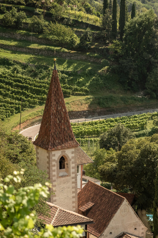 Kirchturm inmitten von Weinbergen mit grün bewachsenen Hügeln